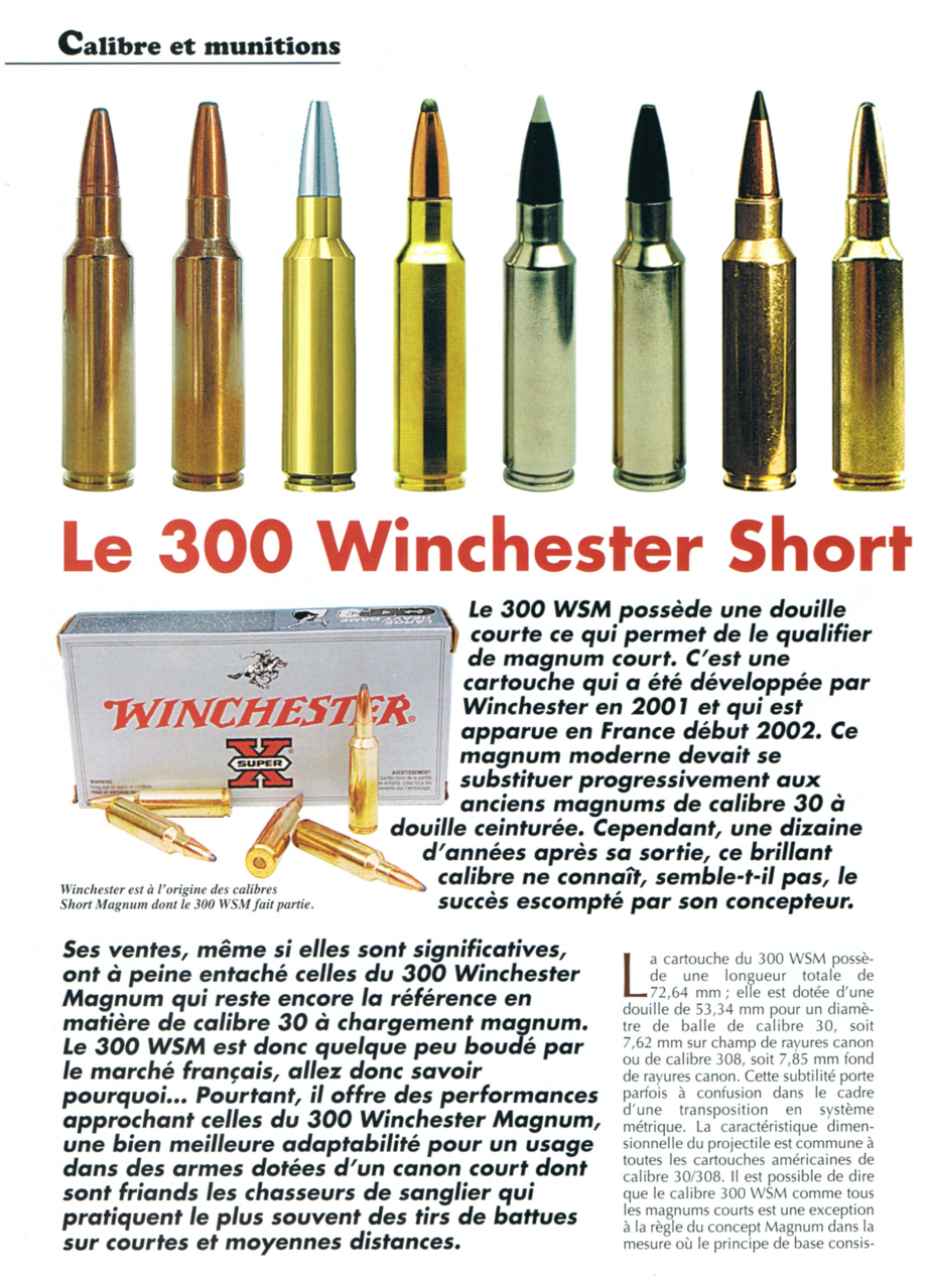 300 WSM - www.balistique-joel-serre.fr.