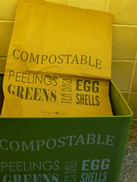 All-Green VC ES 10L-50 10 Litre Paper Compostable Caddy Bin Liners with 50 Bags, 