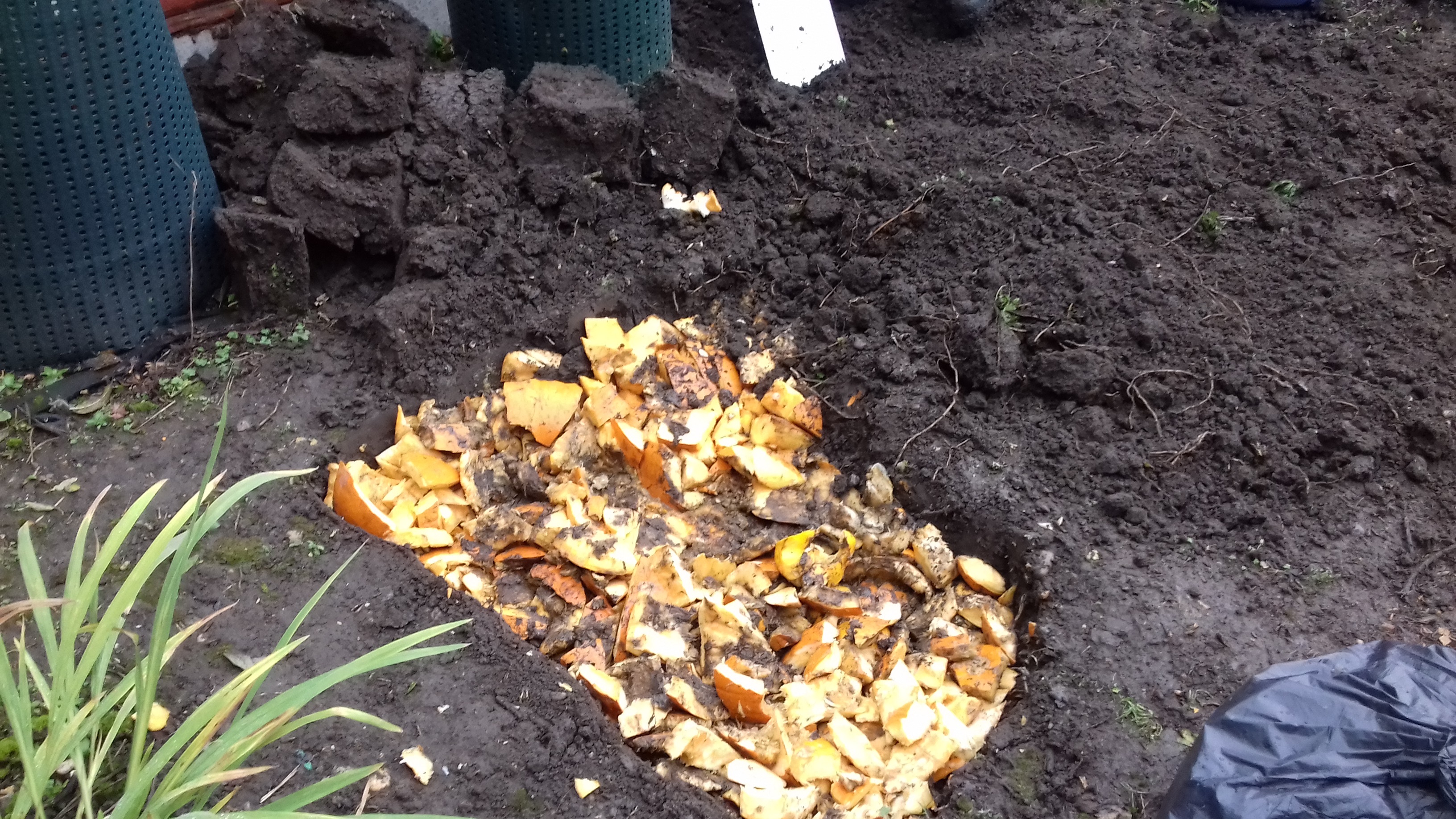 Composting Pumpkins - www.carryoncomposting.com